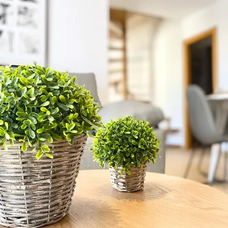 Sofia Apartment